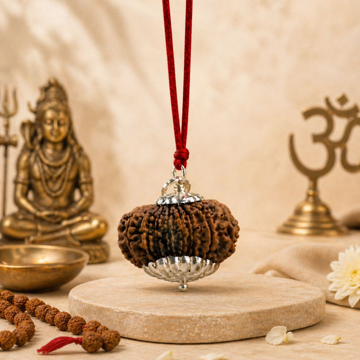 14 Mukhi Nepali Rudrkahsha - Chaudah Mukhi