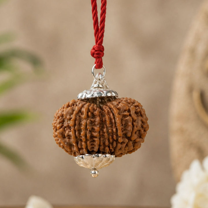 17 Mukhi Nepali Rudraksha - Satrah Mukhi