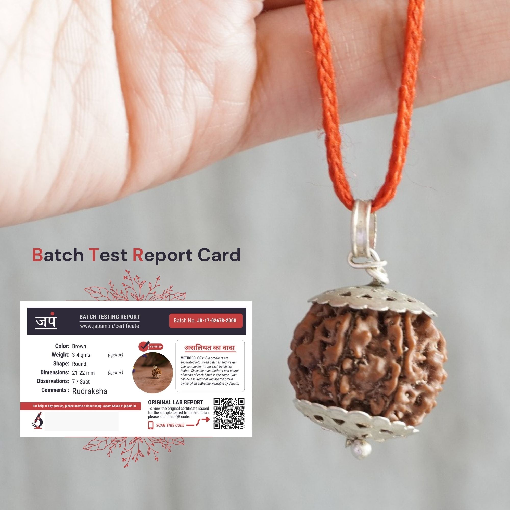 7 Mukhi Nepali Rudraksha - Saat Mukhi