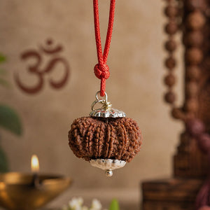15 Mukhi Nepali Rudraksha - Pandrah Mukhi