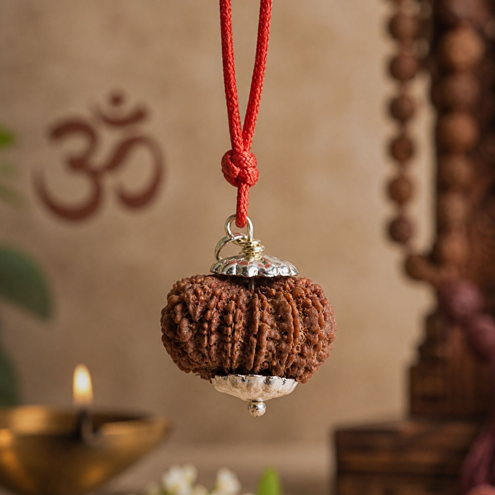 15 Mukhi Nepali Rudraksha - Pandrah Mukhi